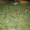 Exotic green granite countertops